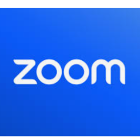 Zoom Pro 1 Month Private Account