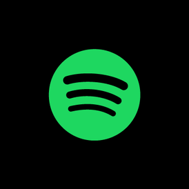 Spotify 3 Months Individual Account