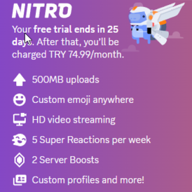  Discord Nitro 12-Month Subscription Gift Card [Digital Code] :  Everything Else