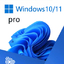 Windows 10 & 11 Pro 1PC Online PRIVATE Key