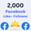 2000 Facebook page Like + follower