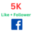 5K Facebook Page Like Follower Big Offer