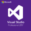Visual Studio Professional 2017