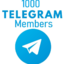 Telegram Channel/Group Members 1k