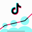 TikTok follower