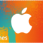 ITunes 100$ Card