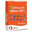 Microsoft Office Pro Plus 2021 + ID (CID)