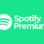 3 Month Spotify Egypt Gift Card