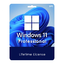 Windows 11 Pro | Global | Lifetime | Online a