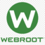 Webroot Secure AntiVirus Key 1 Year