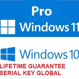Windows 10-11 Pro Online Activation KEY World