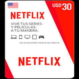 Netflix USA PIN 30 USD