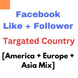 Targated Facebook Like Follower