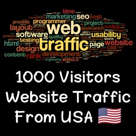1000 Visitors Website Traffic From USA 🇺🇲