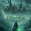 Hogwarts Legacy Deluxe Edition PS4 PS5