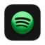 Spotify Account Premium Subscription 1 Year