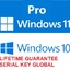 Windows 10-11 Pro Online Activation KEY World