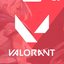 Valorant US 20$ - Riot Cash USD Gift Card