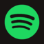 Spotify Premium Individual 12 Months