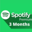 Spotify Premium 3 mounth (Individual)