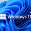 Windows 10 and 11 Global key