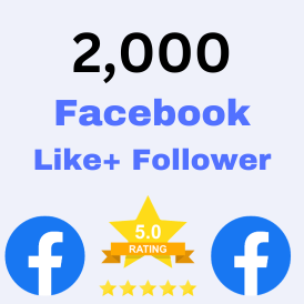 2000 Facebook page Like + follower