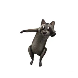 Roblox Shoulder Raccoon (DLC) Key/code GLOBAL