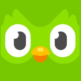 Duolingo Premium 12 Months Private Account