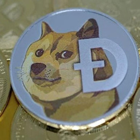 100 DOGE-COIN