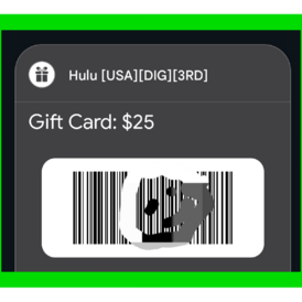 Hulu egift USA 25 USD