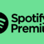 Spotify Premium 12months (individual)