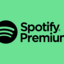 Spotify Premium 1 year (12 months)