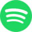 Spotify Individual 18 Month on Your Account