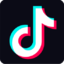 500 Tiktok Follower No Drop Issue