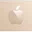 Apple Store Gift Card UAE 50 AED New