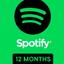 Spotify Premium 12 mounth (Individual)