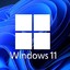 Windows 10 & 11 key ( home )