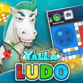 Yalla Ludo 5$ Diamonds(1 Year Stockable)