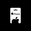 iTunes USA | 100 USD