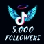 TikTok 5000 Followers
