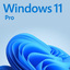 Windows 10&11 key pro