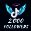 TikTok 2000 Followers