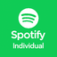 Spotify Premium Individual 6 Months Your Acc
