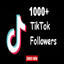 1000 Tiktok Follower Real Active Follower