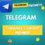 1K Telegram Follower Channel Group Member