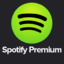 Spotify Premium Family 2 months - 6 accounts