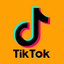 TikTok views 250k