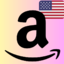 Amazon USD 100 (USA) storable