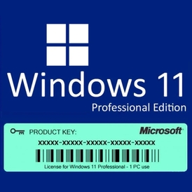 Windows 11 Pro License Key Global