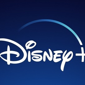 Disney+ 12 Months 1 Profile